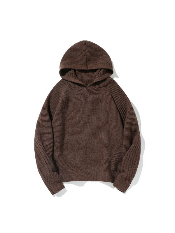 Thickening All-match Loose Hooded Sweater